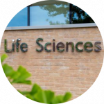 A cercle containing the image of a wall sign on a building at the University of Southampton, reading "85 Life Sciences." This sign is mounted on an exterior brick wall, Under a long horizontal window. The text is made of individual bold metallic letters and numbers fixed to the wall.