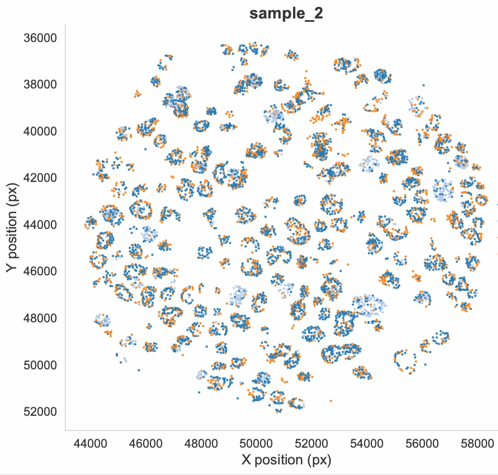 Gene expression profile of organoids with spatial transcriptomics