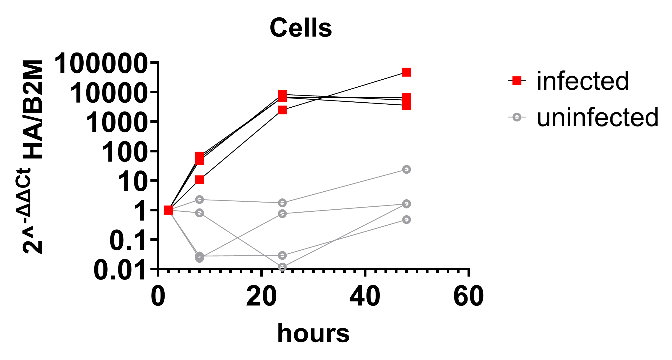 Time course of influenza infection